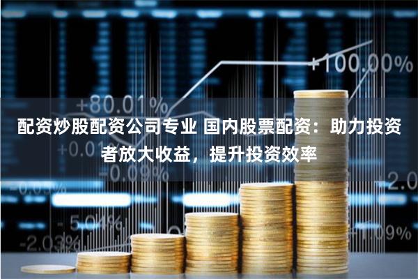 配资炒股配资公司专业 国内股票配资：助力投资者放大收益，提升投资效率