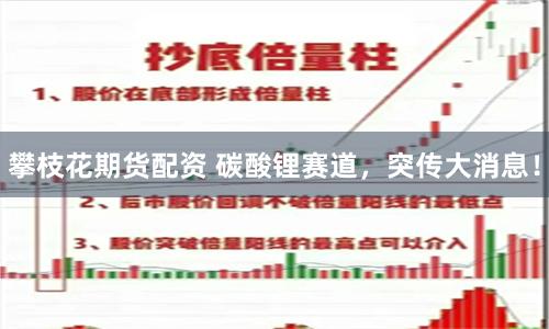 攀枝花期货配资 碳酸锂赛道，突传大消息！