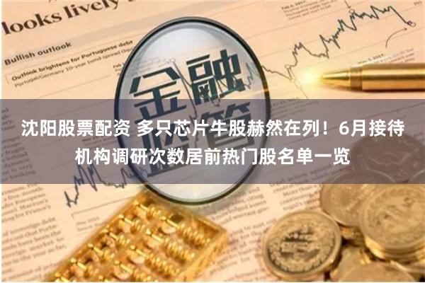 沈阳股票配资 多只芯片牛股赫然在列！6月接待机构调研次数居前热门股名单一览