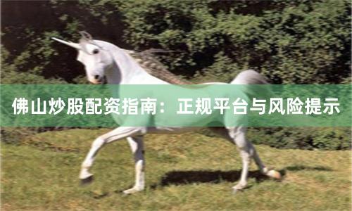 佛山炒股配资指南：正规平台与风险提示