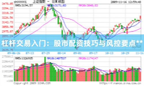 杠杆交易入门：股市配资技巧与风控要点**